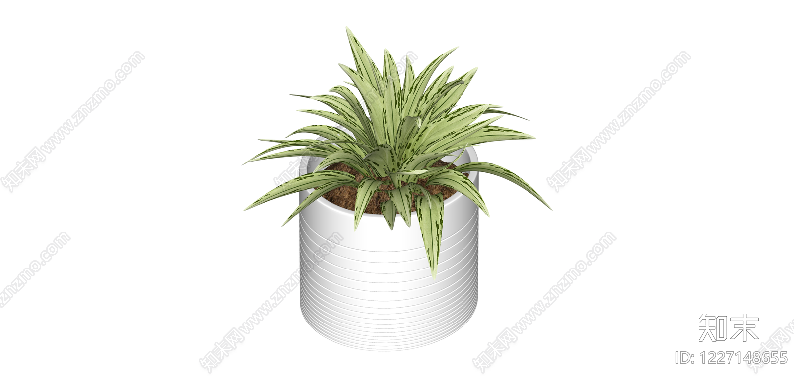 白盆虎皮兰盆栽SU模型下载【ID:1227148655】