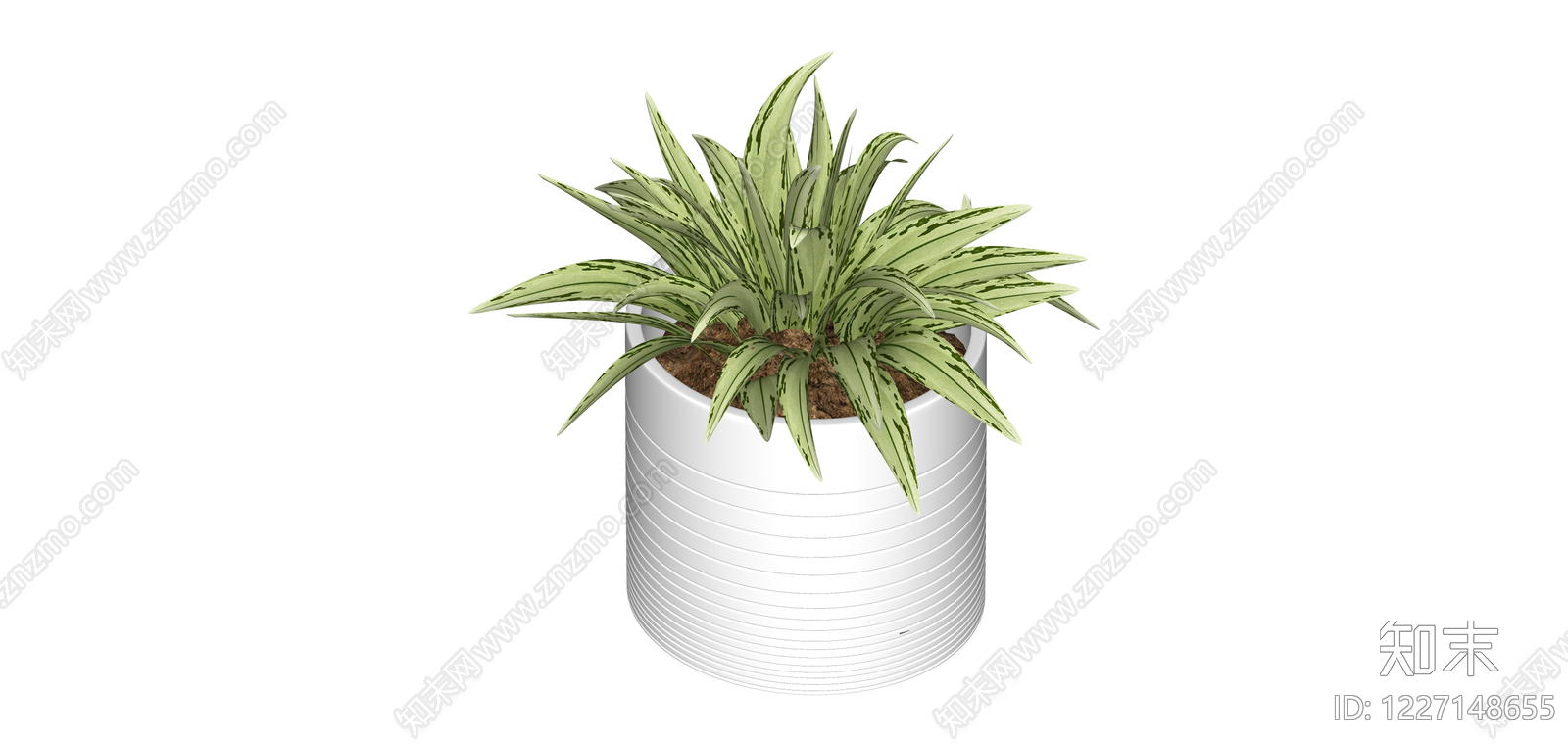 白盆虎皮兰盆栽SU模型下载【ID:1227148655】