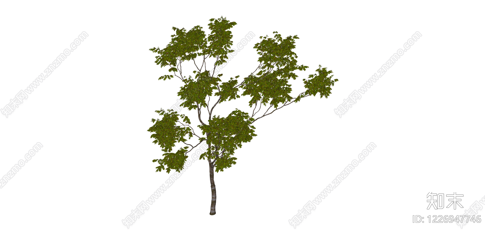 独立景观乔木模型SU模型下载【ID:1226947746】