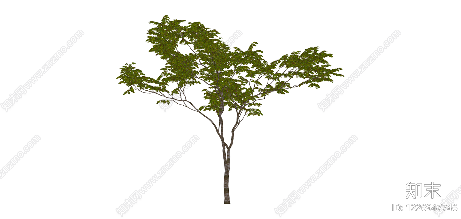 独立景观乔木模型SU模型下载【ID:1226947746】