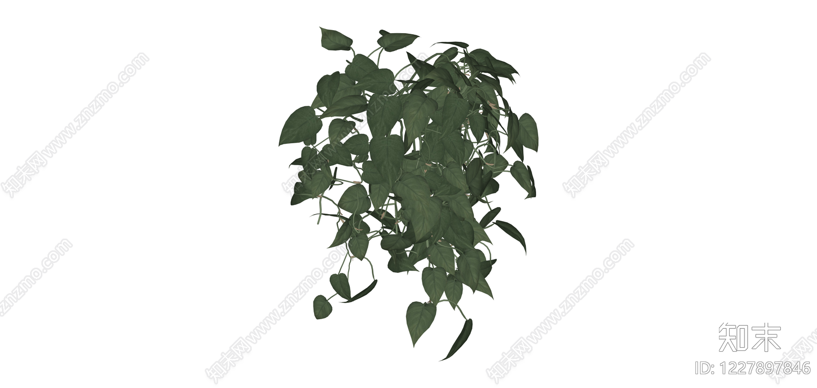 垂吊绿植植物模型SU模型下载【ID:1227897846】