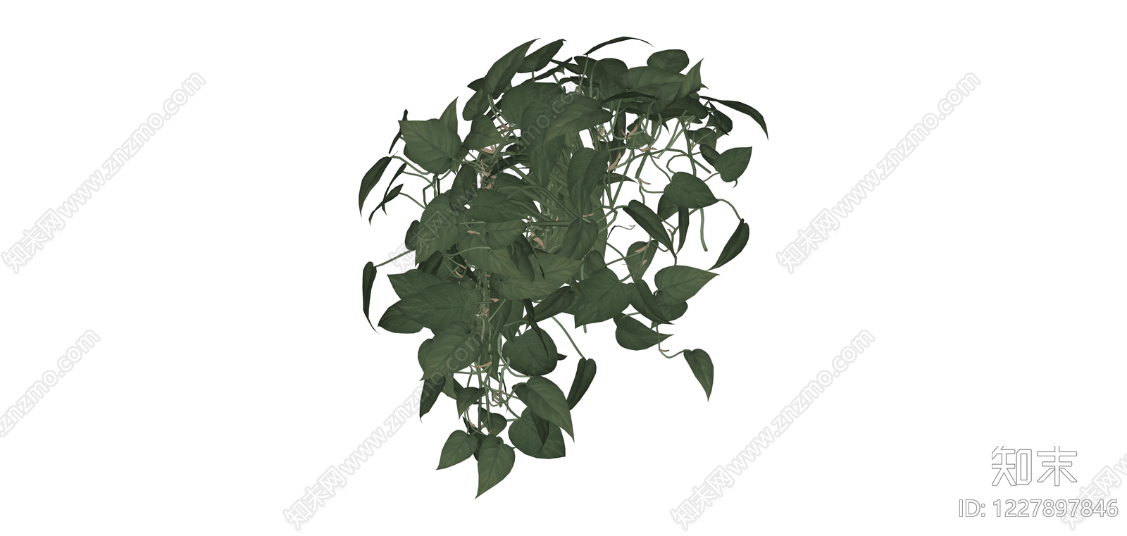 垂吊绿植植物模型SU模型下载【ID:1227897846】