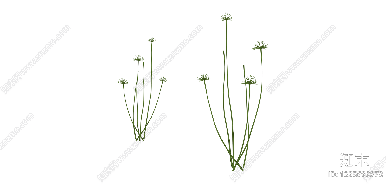 多株组合观赏植物SU模型下载【ID:1225699873】