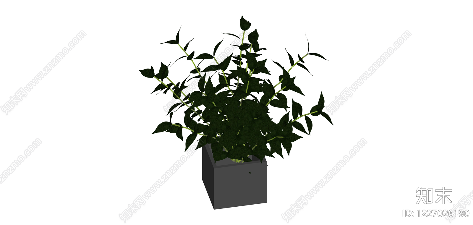 方形盆栽绿植SU模型下载【ID:1227026190】