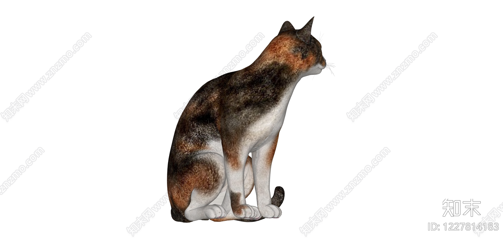 三花猫坐姿模型SU模型下载【ID:1227814183】