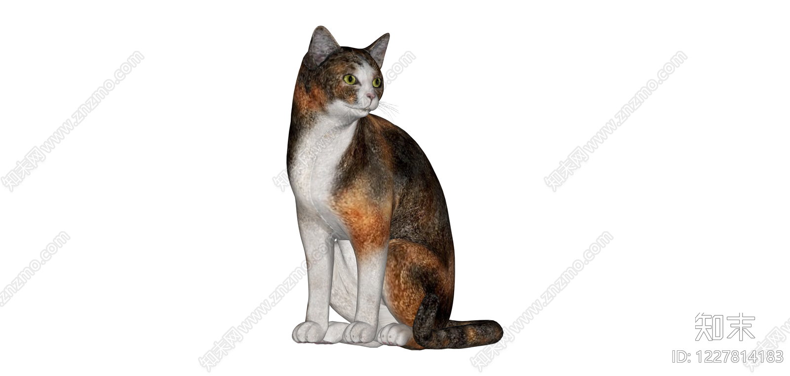 三花猫坐姿模型SU模型下载【ID:1227814183】
