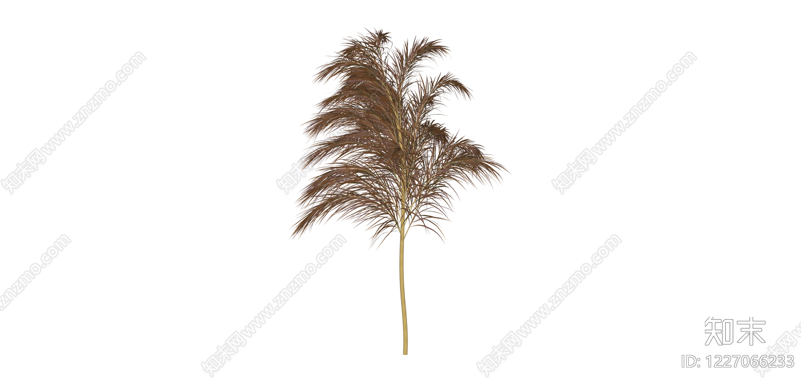 枯叶棕榈植物模型SU模型下载【ID:1227066233】