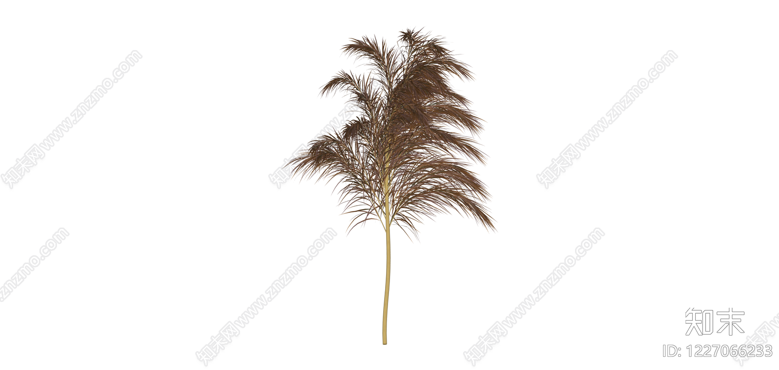 枯叶棕榈植物模型SU模型下载【ID:1227066233】