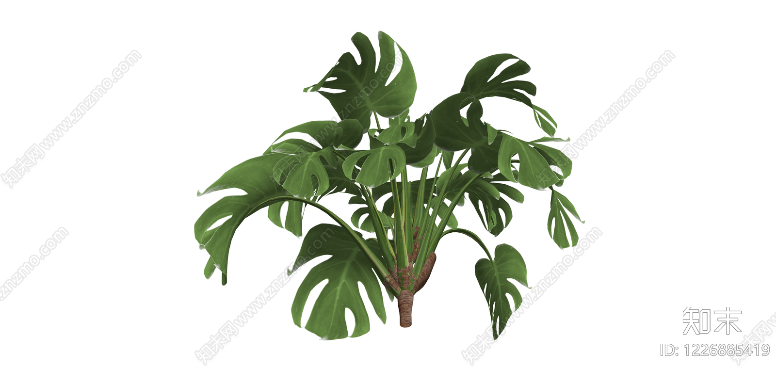 龟背竹盆栽绿植SU模型下载【ID:1226885419】