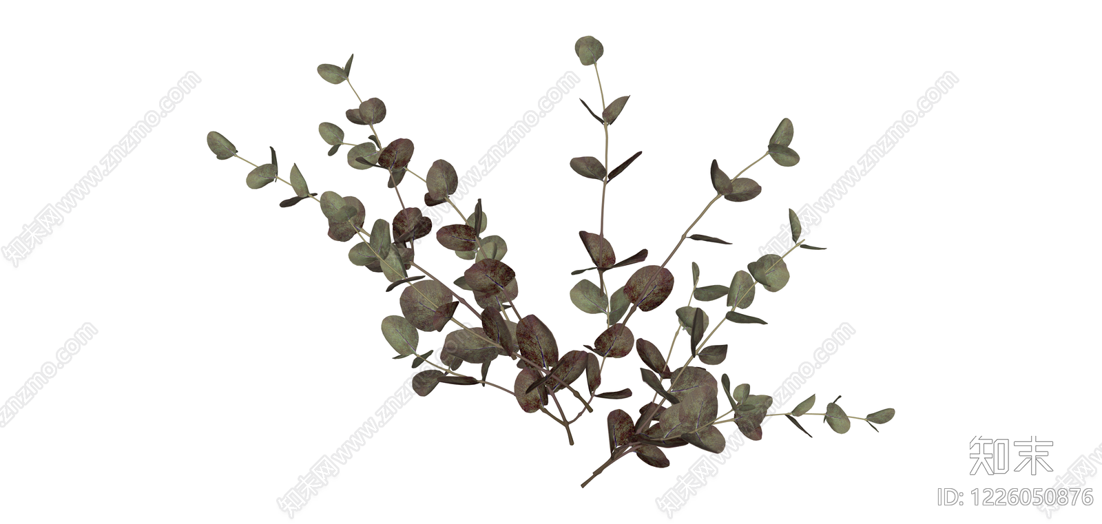 尤加利叶植物枝条SU模型下载【ID:1226050876】