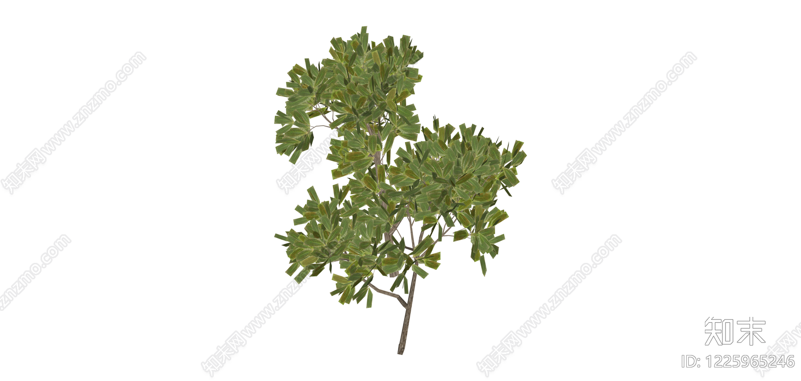 独立景观树木模型SU模型下载【ID:1225965246】
