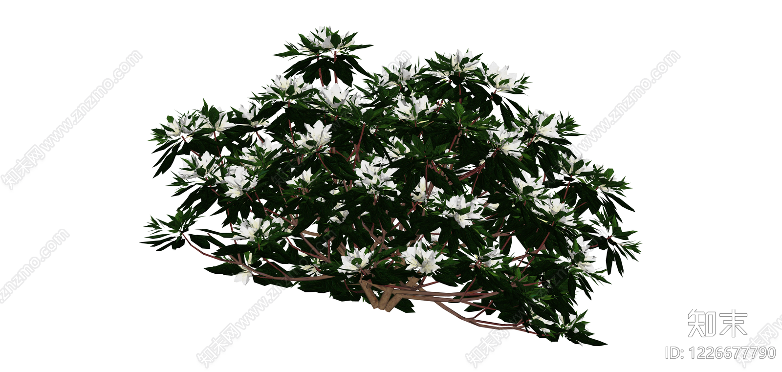 白色开花灌木球SU模型下载【ID:1226677790】