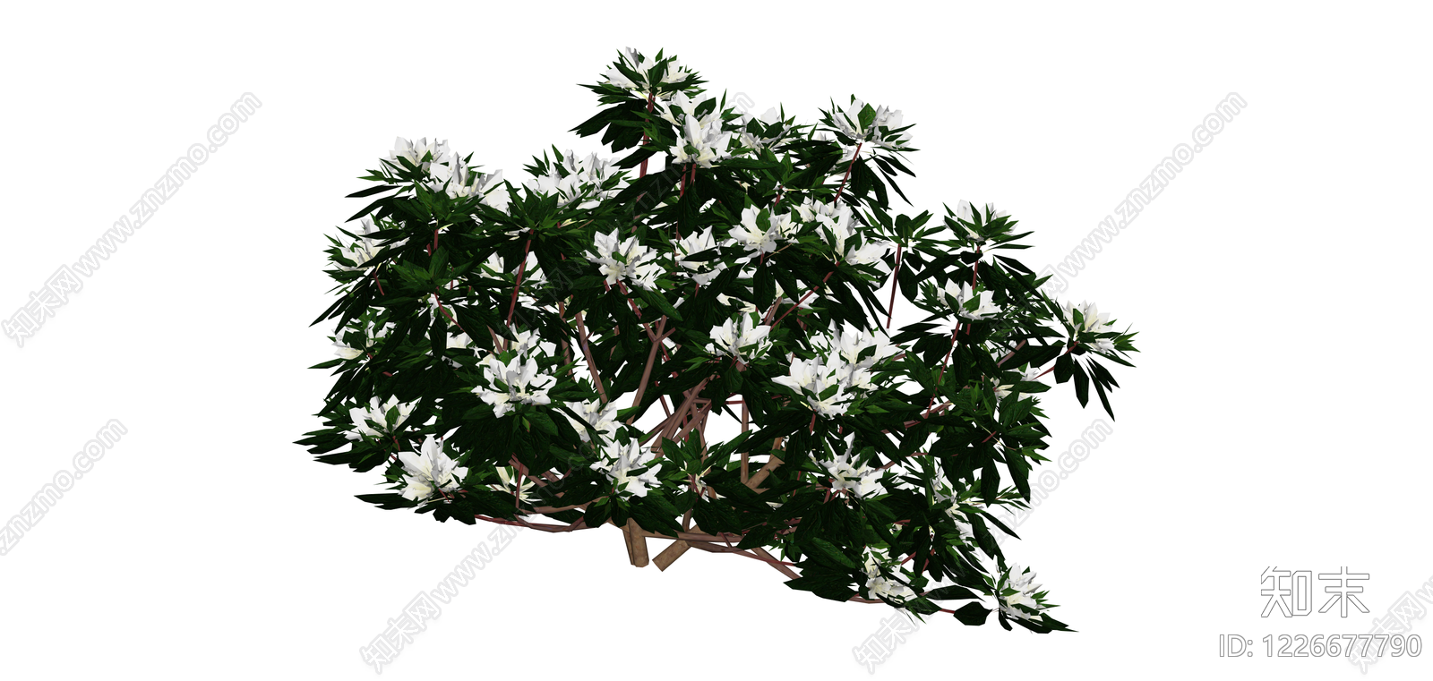 白色开花灌木球SU模型下载【ID:1226677790】
