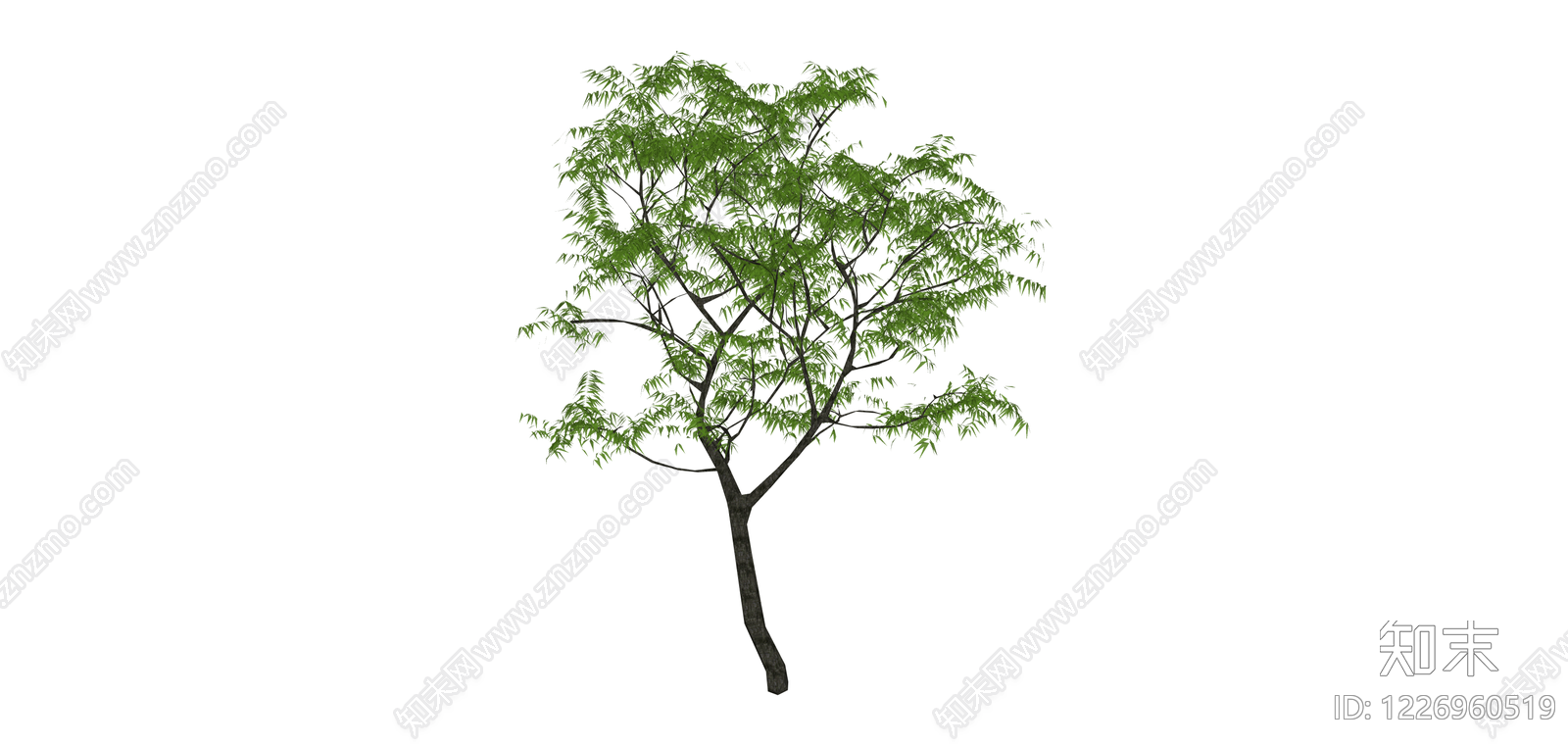 绿色乔木植物模型SU模型下载【ID:1226960519】