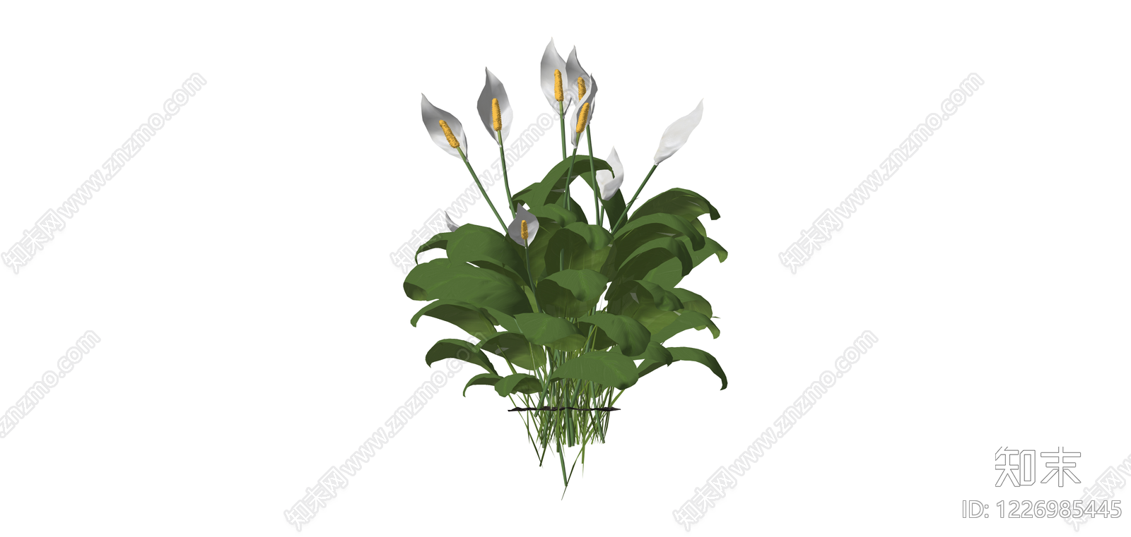 白掌盆栽绿植SU模型下载【ID:1226985445】