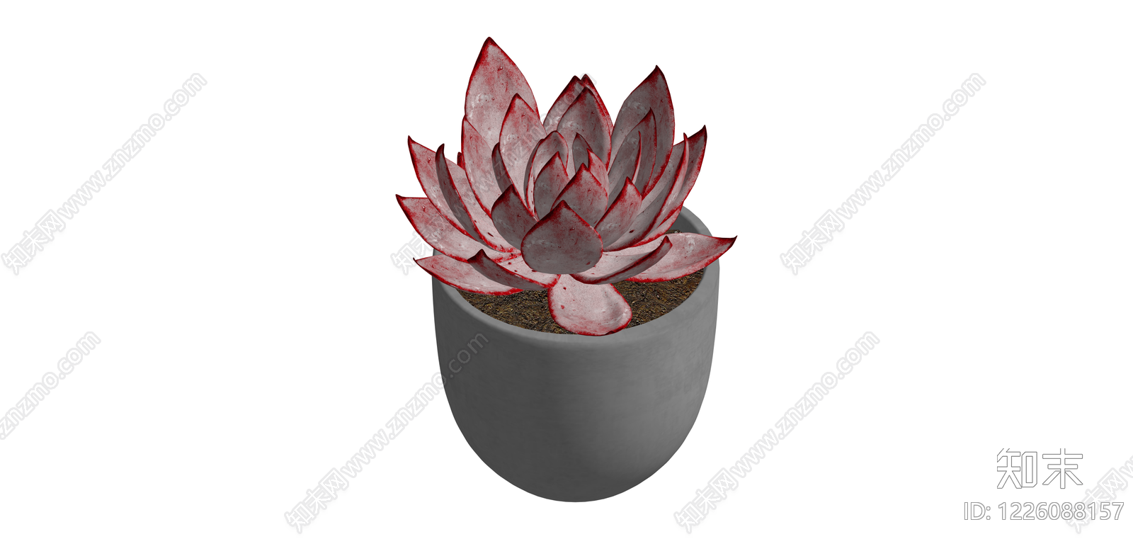 红边多肉盆栽SU模型下载【ID:1226088157】