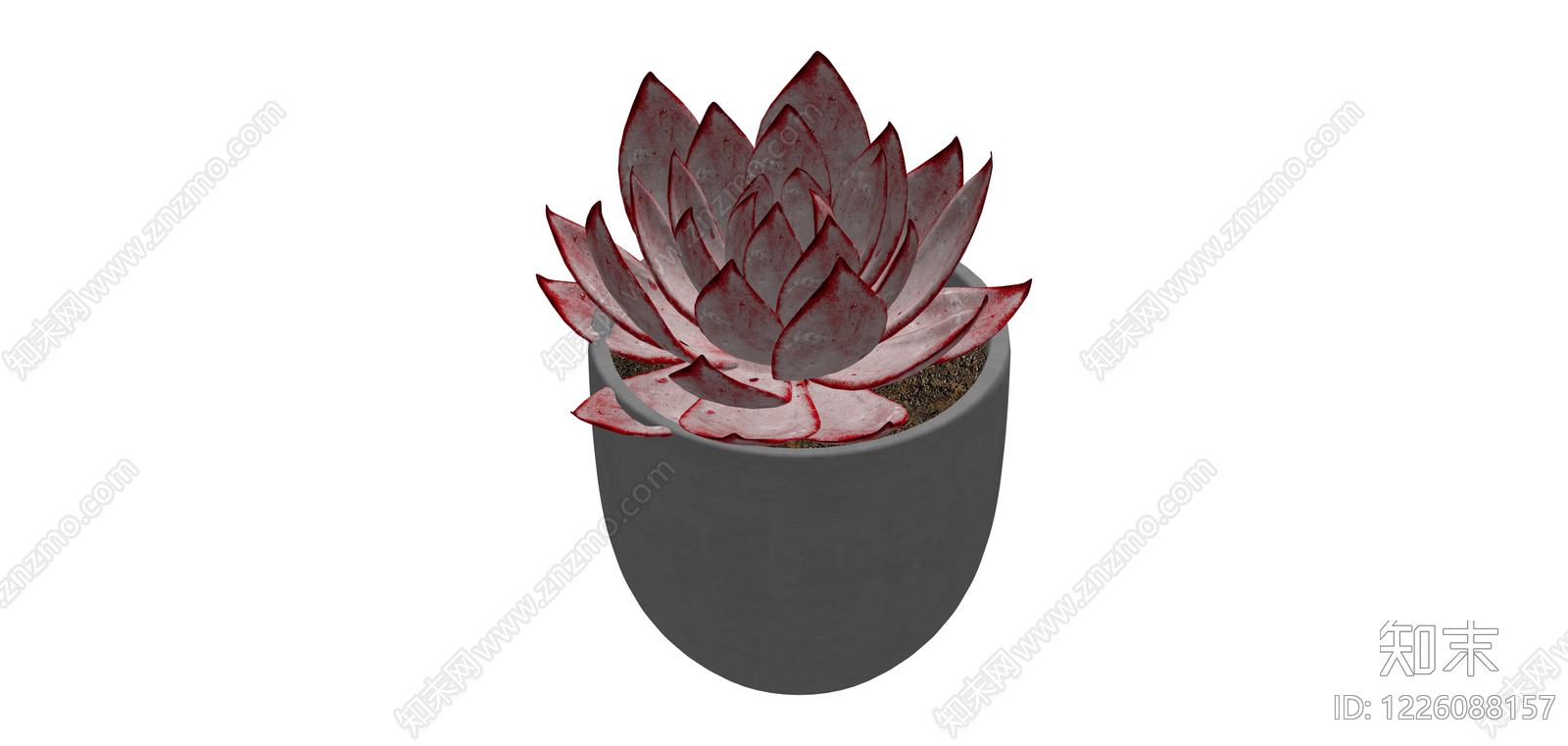 红边多肉盆栽SU模型下载【ID:1226088157】