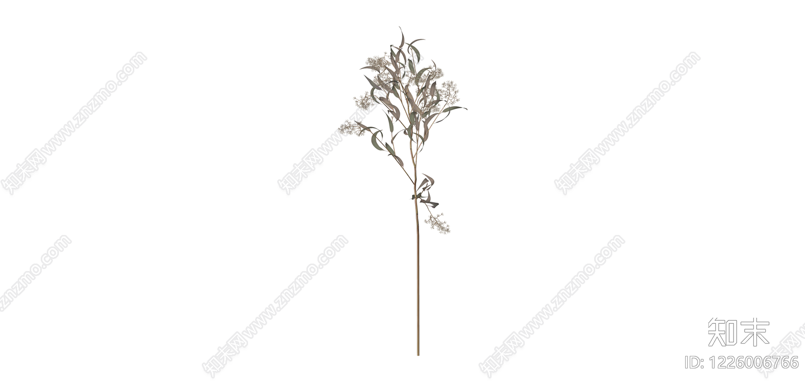 仿真尤加利花艺枝条SU模型下载【ID:1226006766】