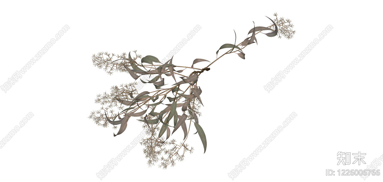 仿真尤加利花艺枝条SU模型下载【ID:1226006766】
