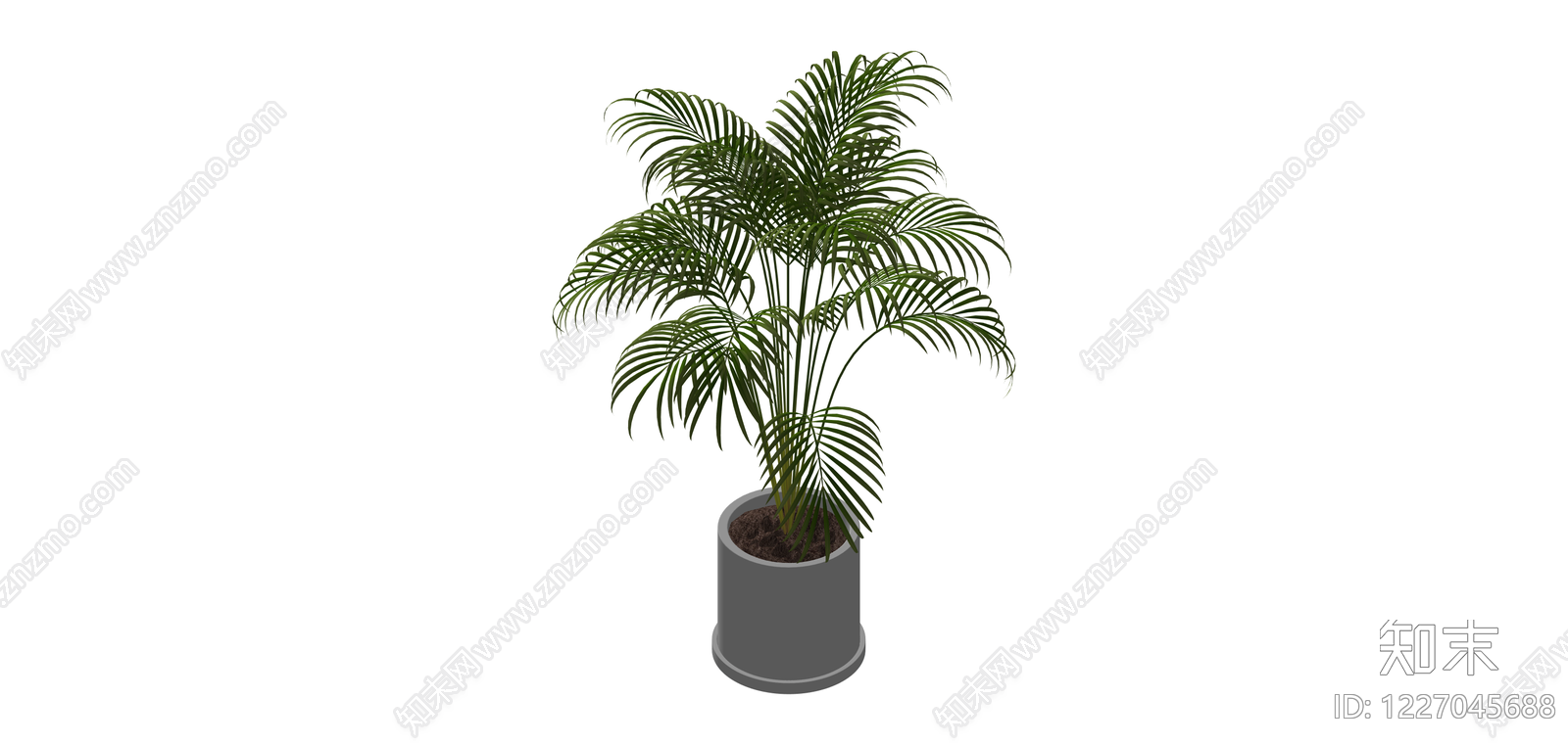 盆栽散尾葵SU模型下载【ID:1227045688】