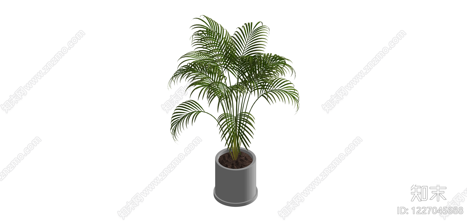 盆栽散尾葵SU模型下载【ID:1227045688】