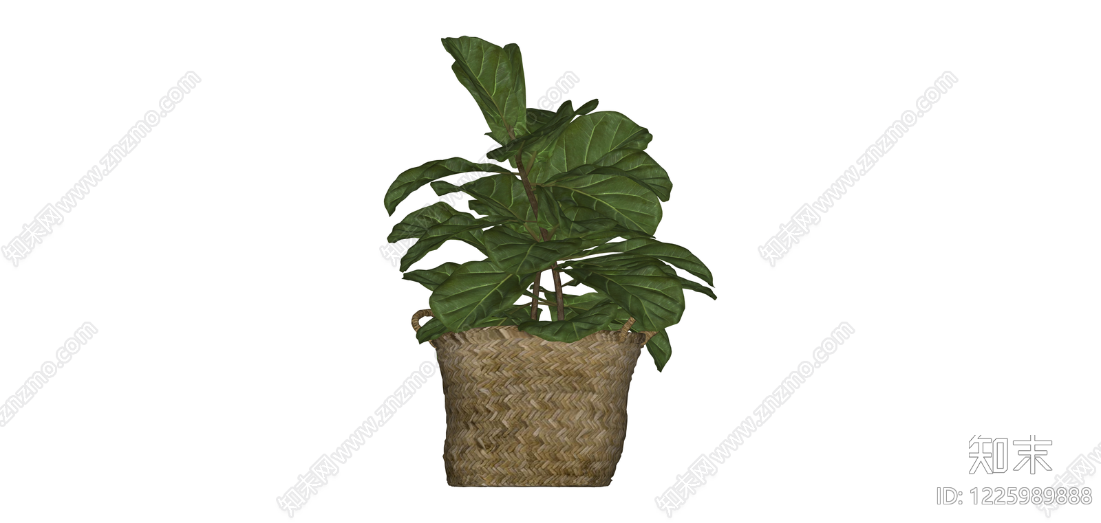 带盆绿植盆栽SU模型下载【ID:1225989888】