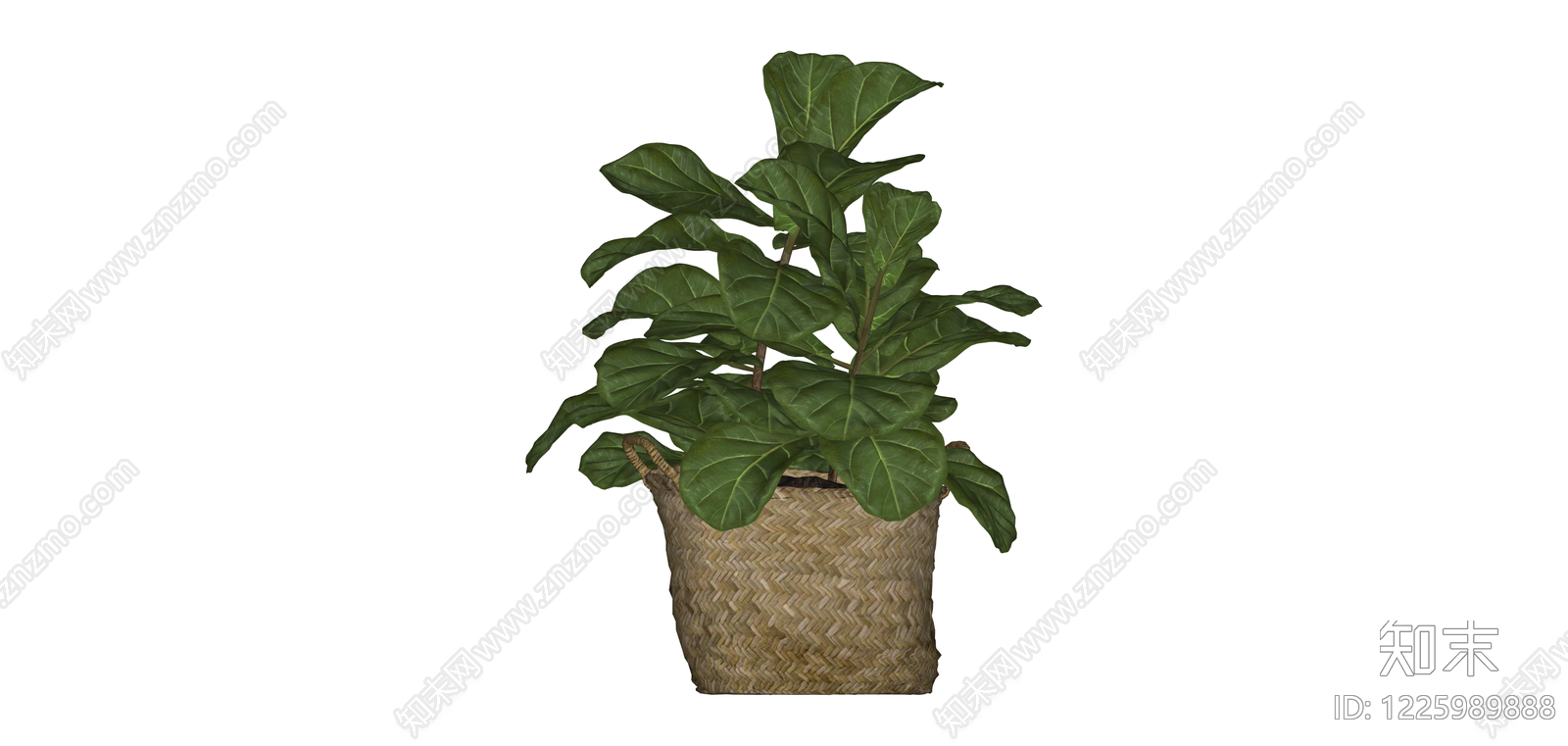 带盆绿植盆栽SU模型下载【ID:1225989888】