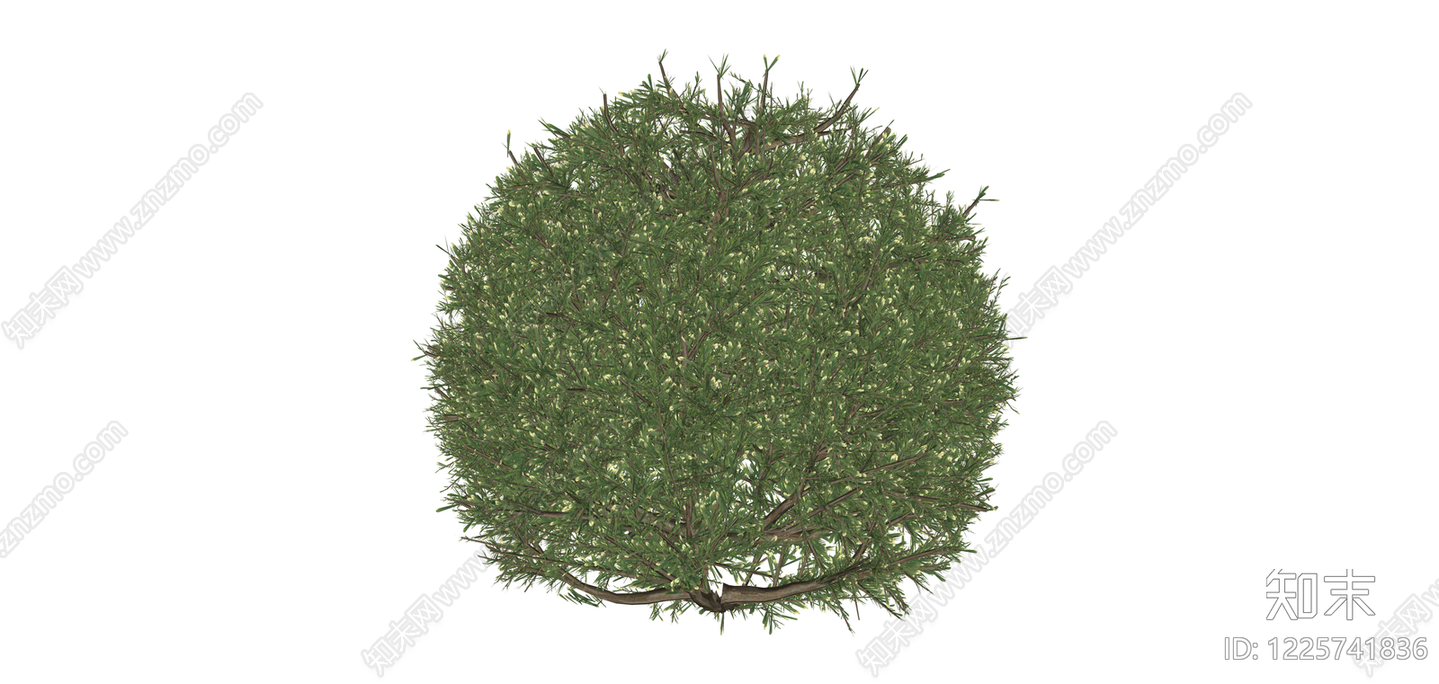 球形绿植灌木模型SU模型下载【ID:1225741836】