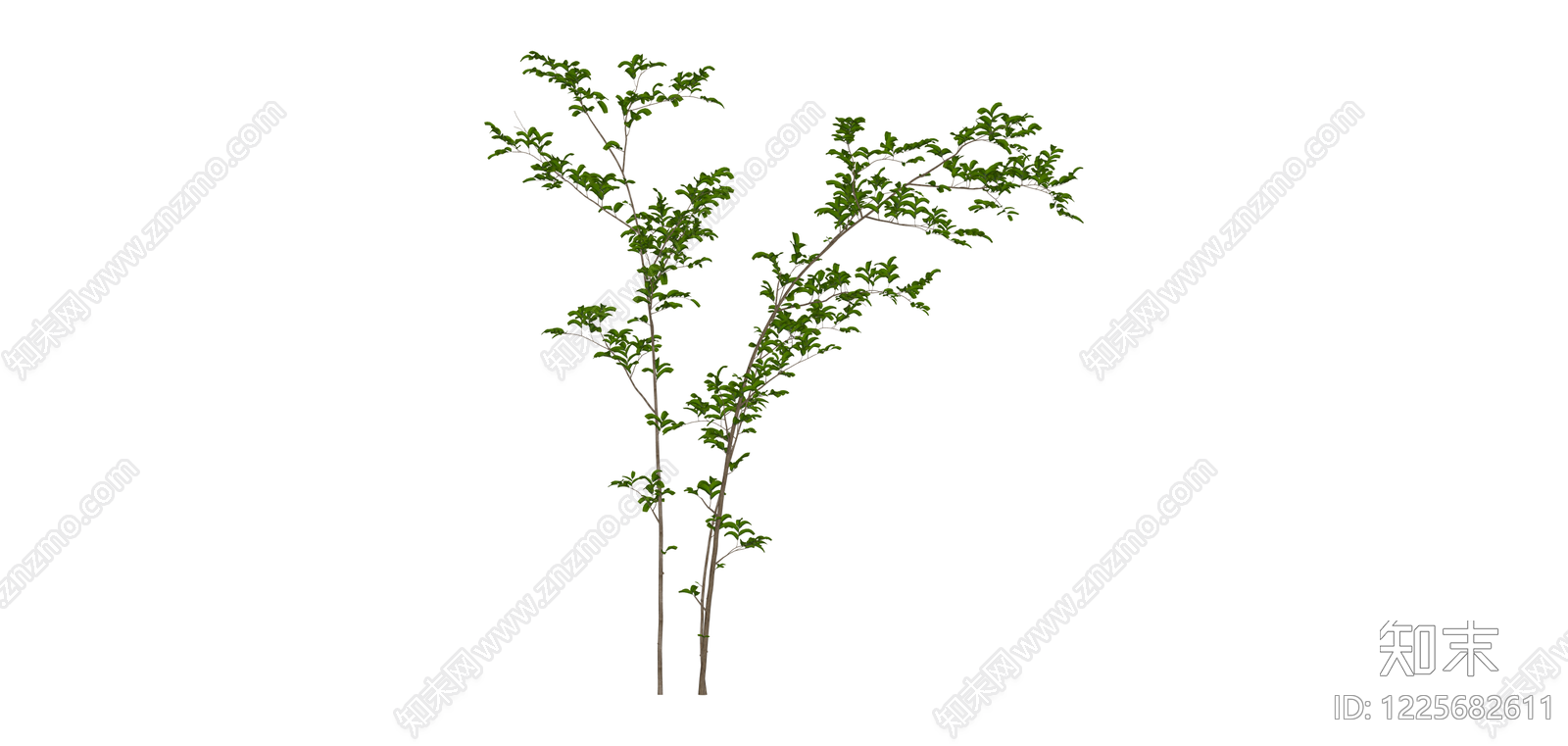 丛生灌木绿植SU模型下载【ID:1225682611】