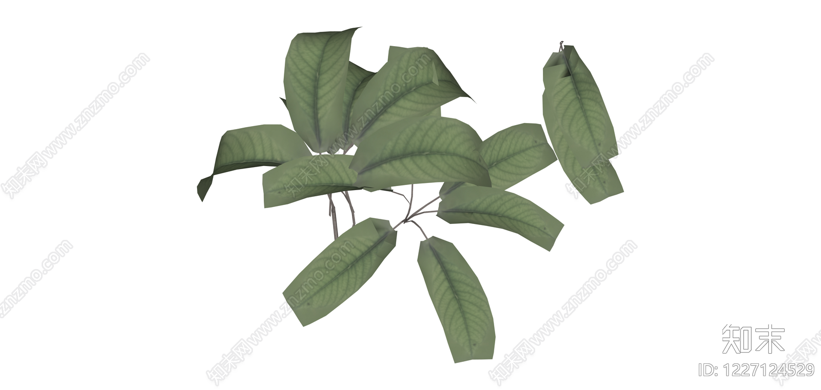 低多边形阔叶植物SU模型下载【ID:1227124529】