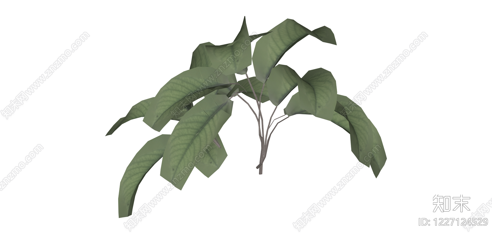 低多边形阔叶植物SU模型下载【ID:1227124529】