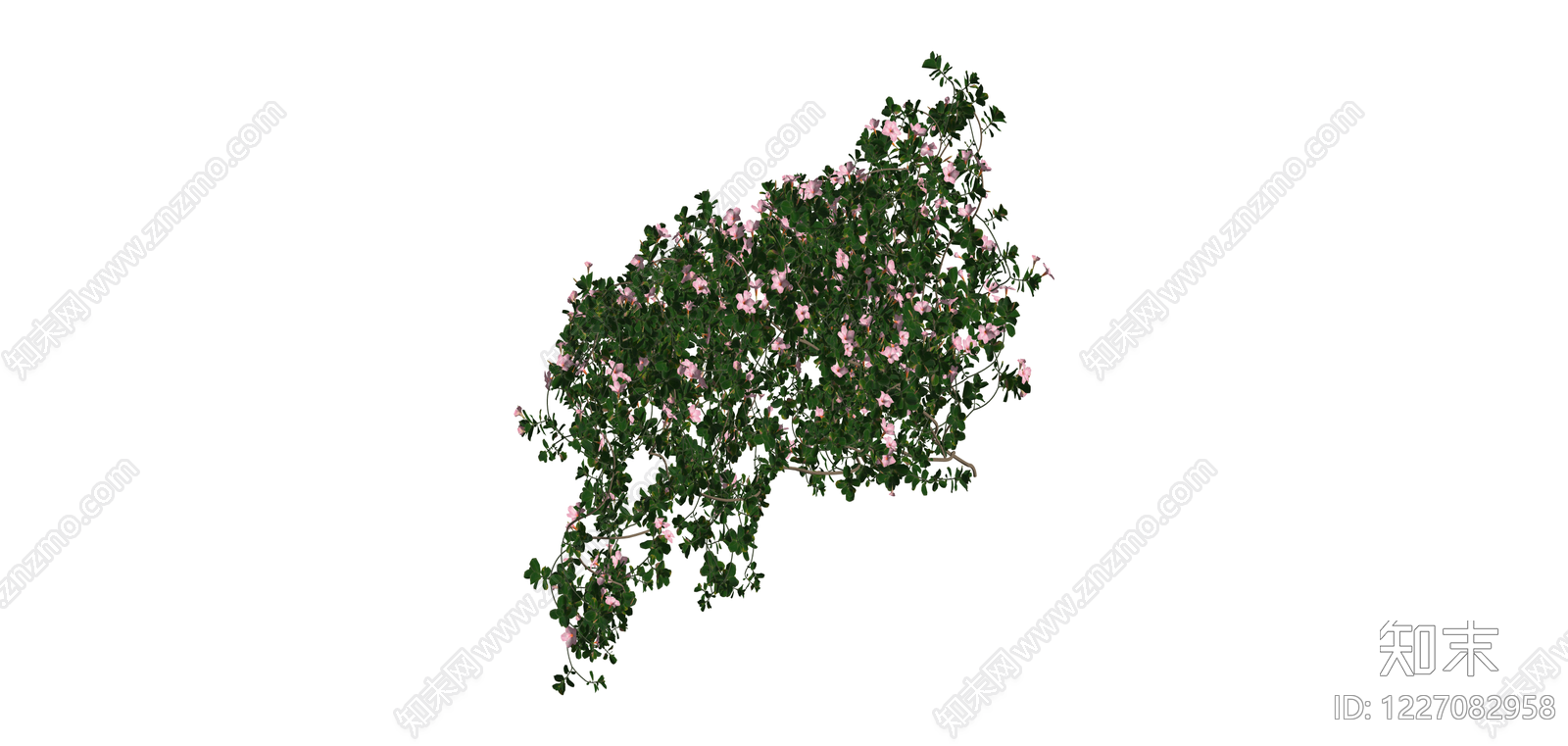 粉色花叶灌木绿植SU模型下载【ID:1227082958】