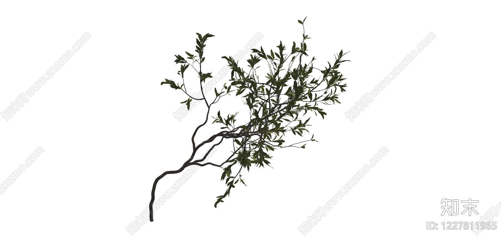 造型独特的枯枝植物SU模型下载【ID:1227811965】
