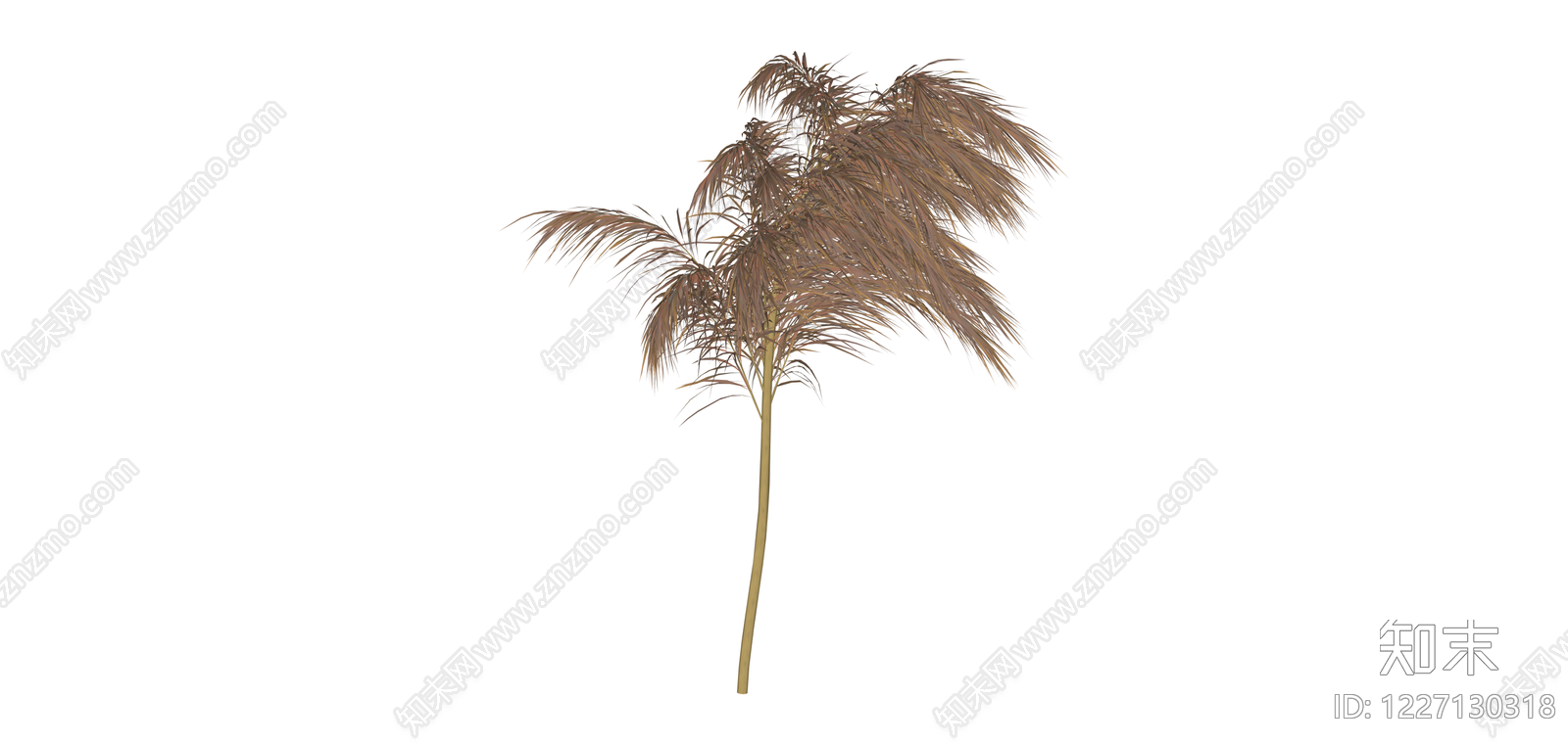 枯黄棕榈植物模型SU模型下载【ID:1227130318】