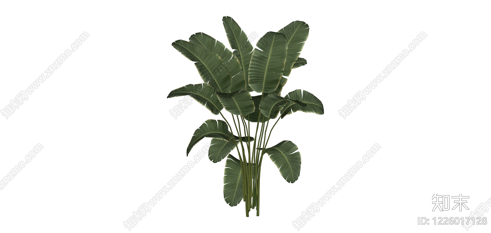 热带阔叶植物模型SU模型下载【ID:1226017128】