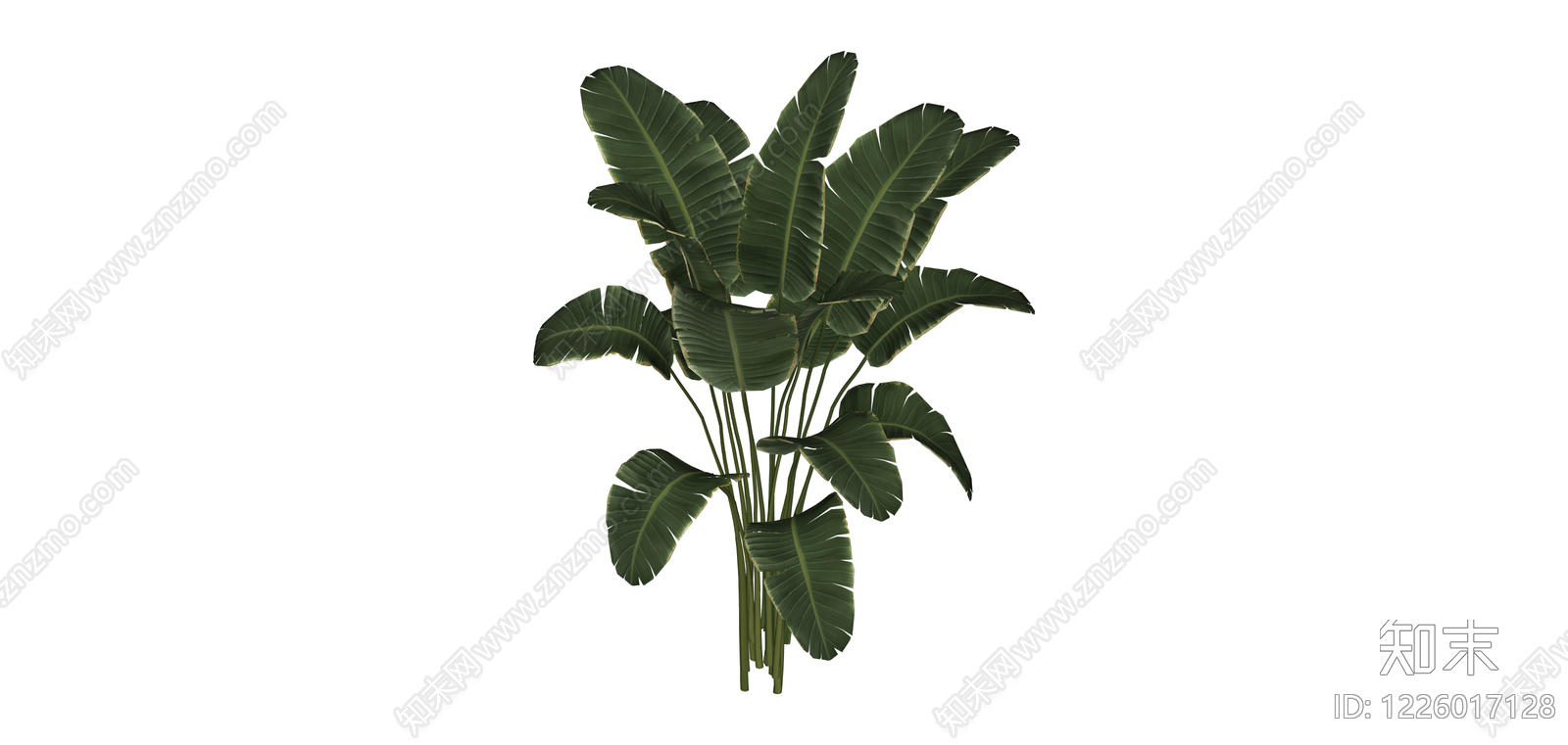热带阔叶植物模型SU模型下载【ID:1226017128】