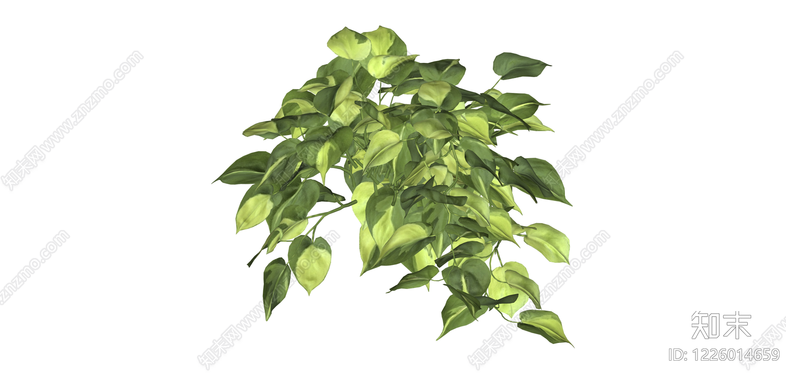 绿萝盆栽植物模型SU模型下载【ID:1226014659】