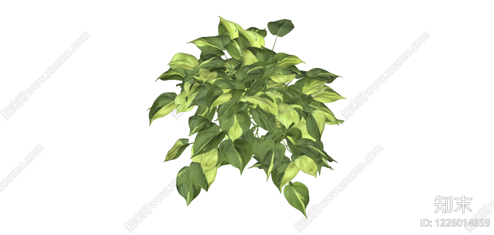 绿萝盆栽植物模型SU模型下载【ID:1226014659】