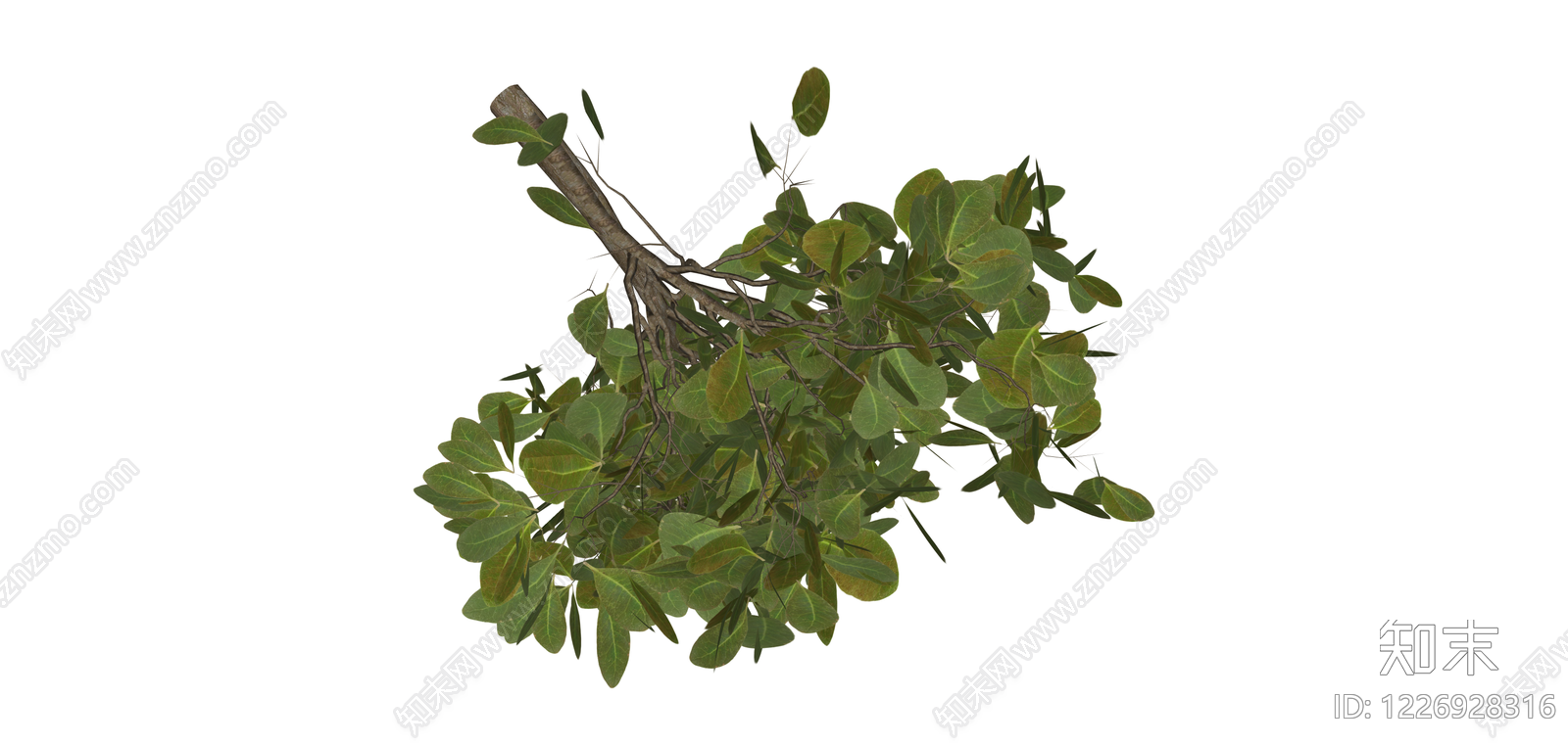 绿叶灌木植物模型SU模型下载【ID:1226928316】