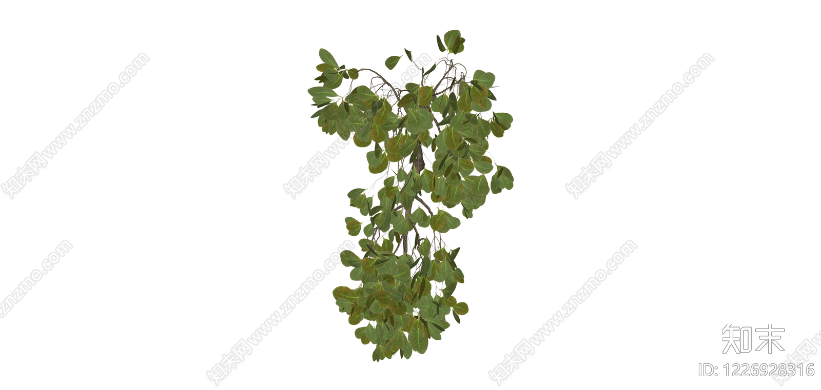 绿叶灌木植物模型SU模型下载【ID:1226928316】