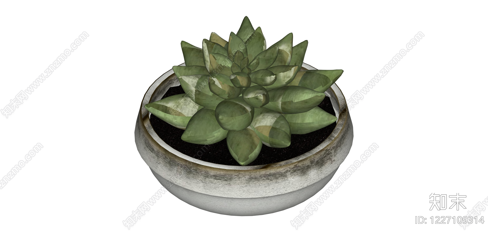 混凝土盆多肉植物SU模型下载【ID:1227109314】