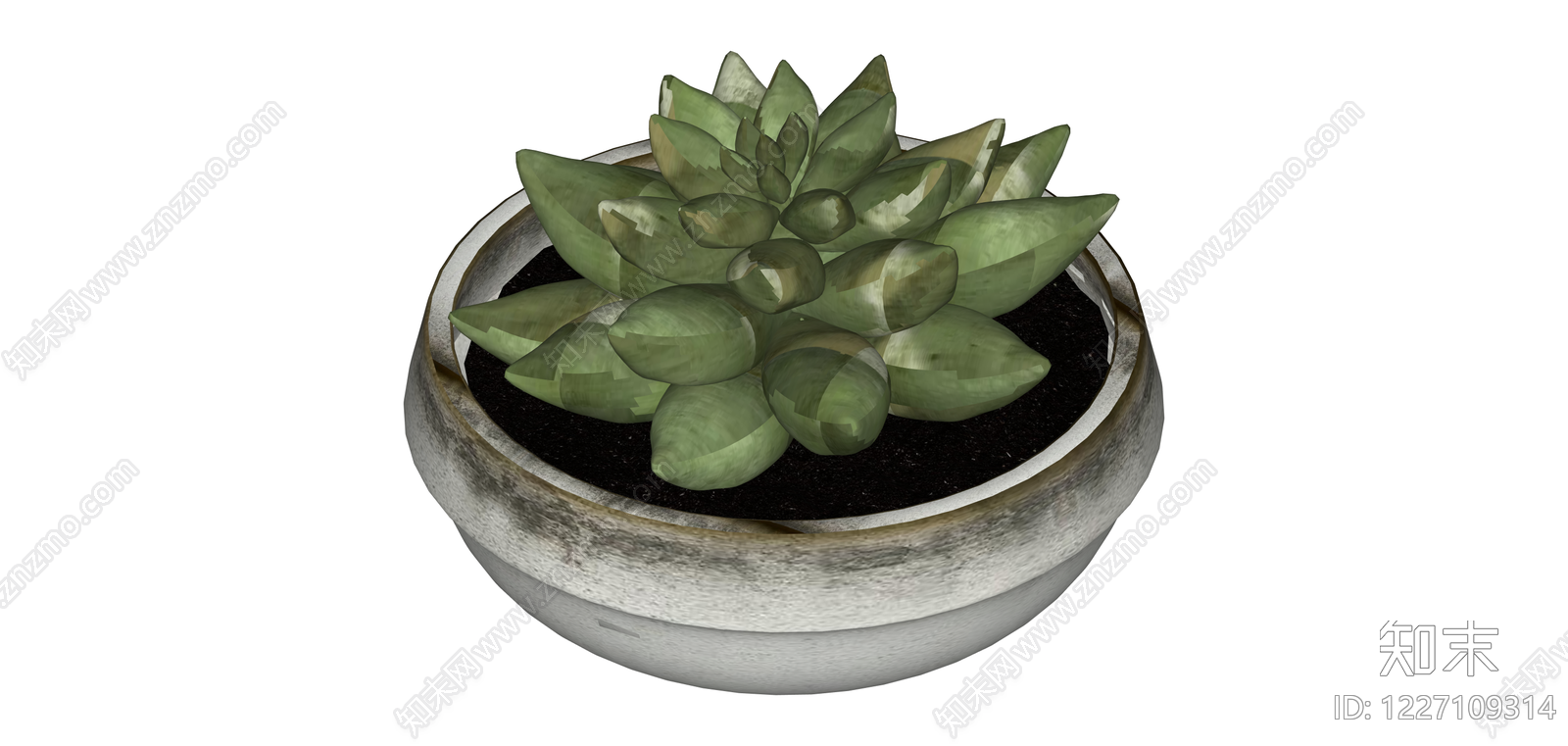 混凝土盆多肉植物SU模型下载【ID:1227109314】