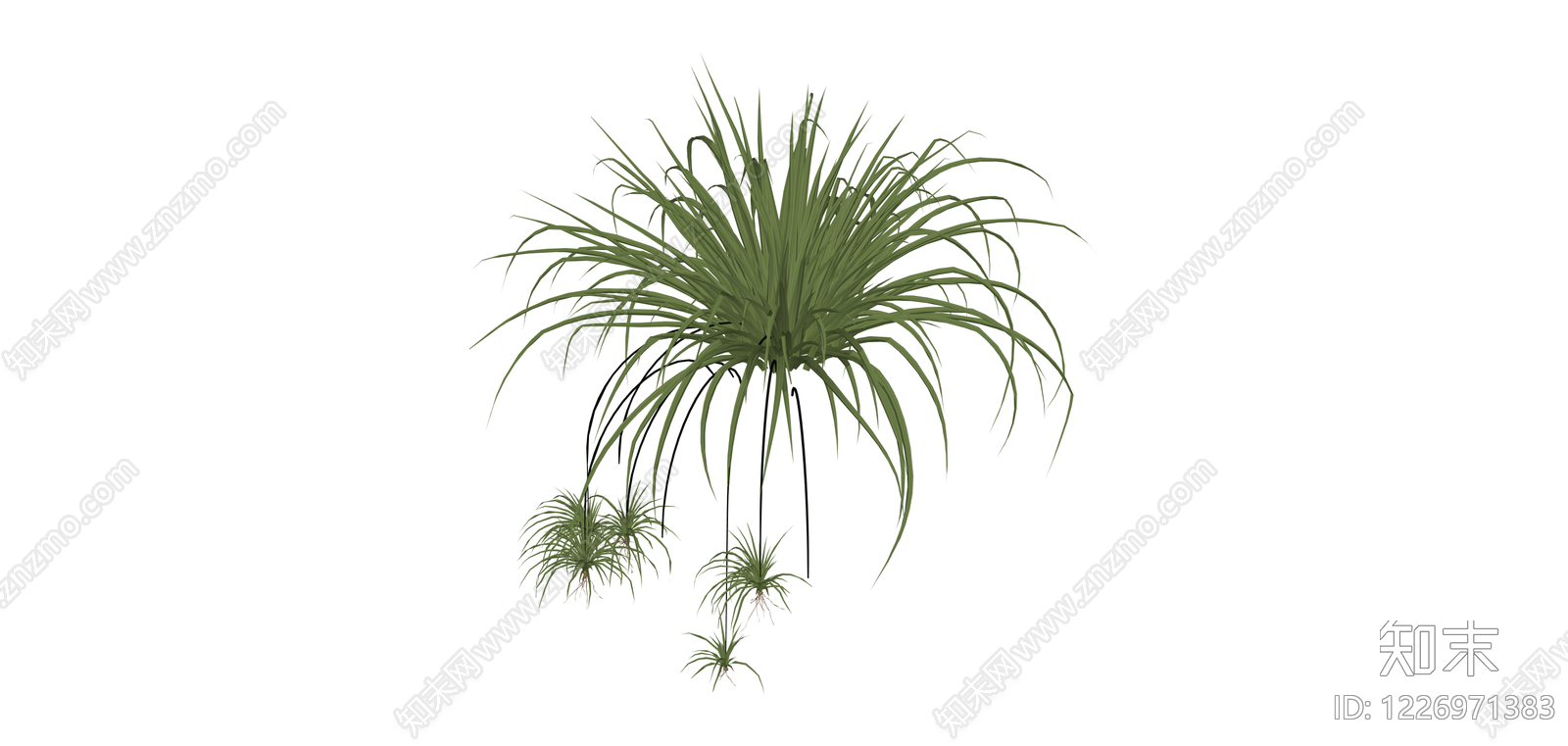 带垂坠幼苗的盆栽植物SU模型下载【ID:1226971383】
