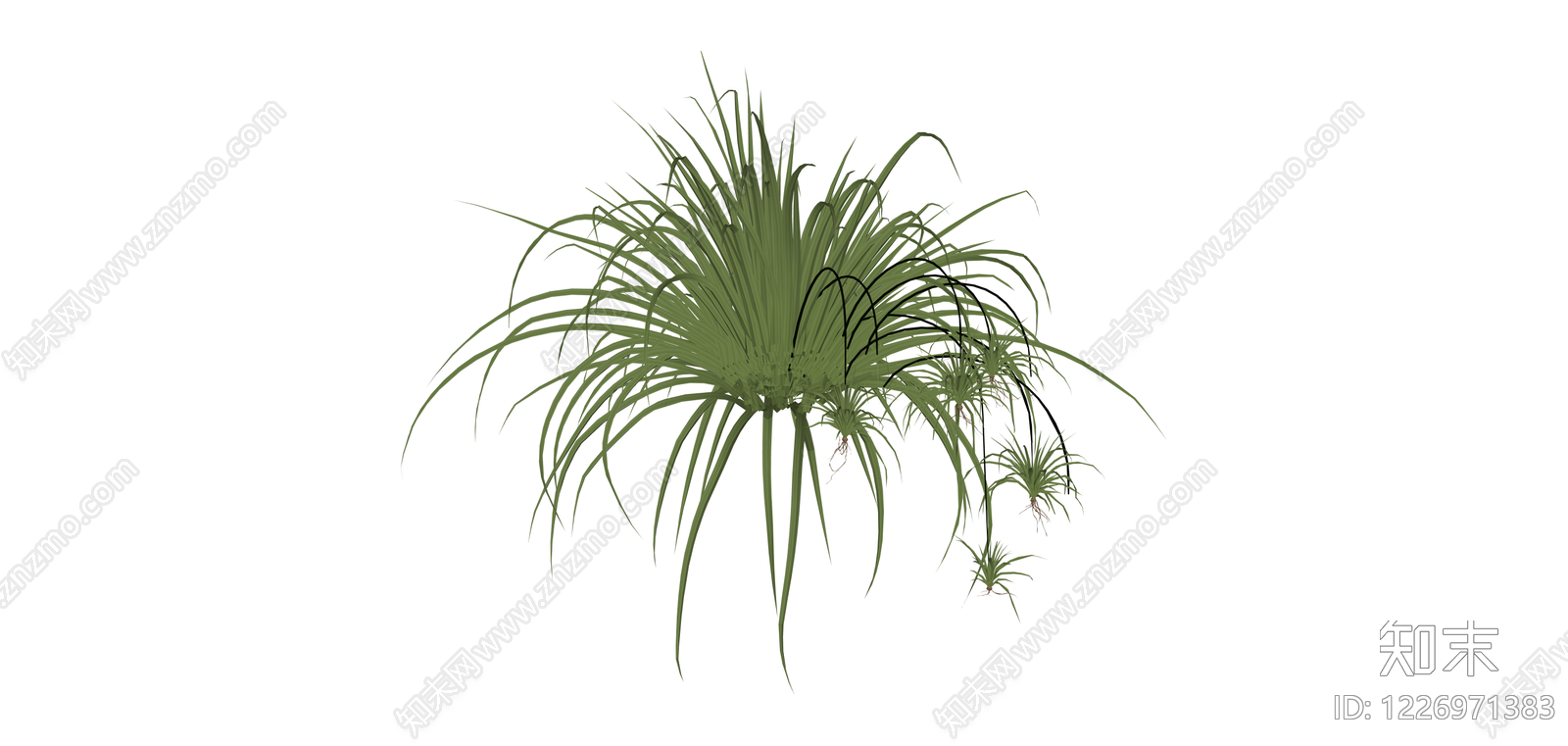 带垂坠幼苗的盆栽植物SU模型下载【ID:1226971383】
