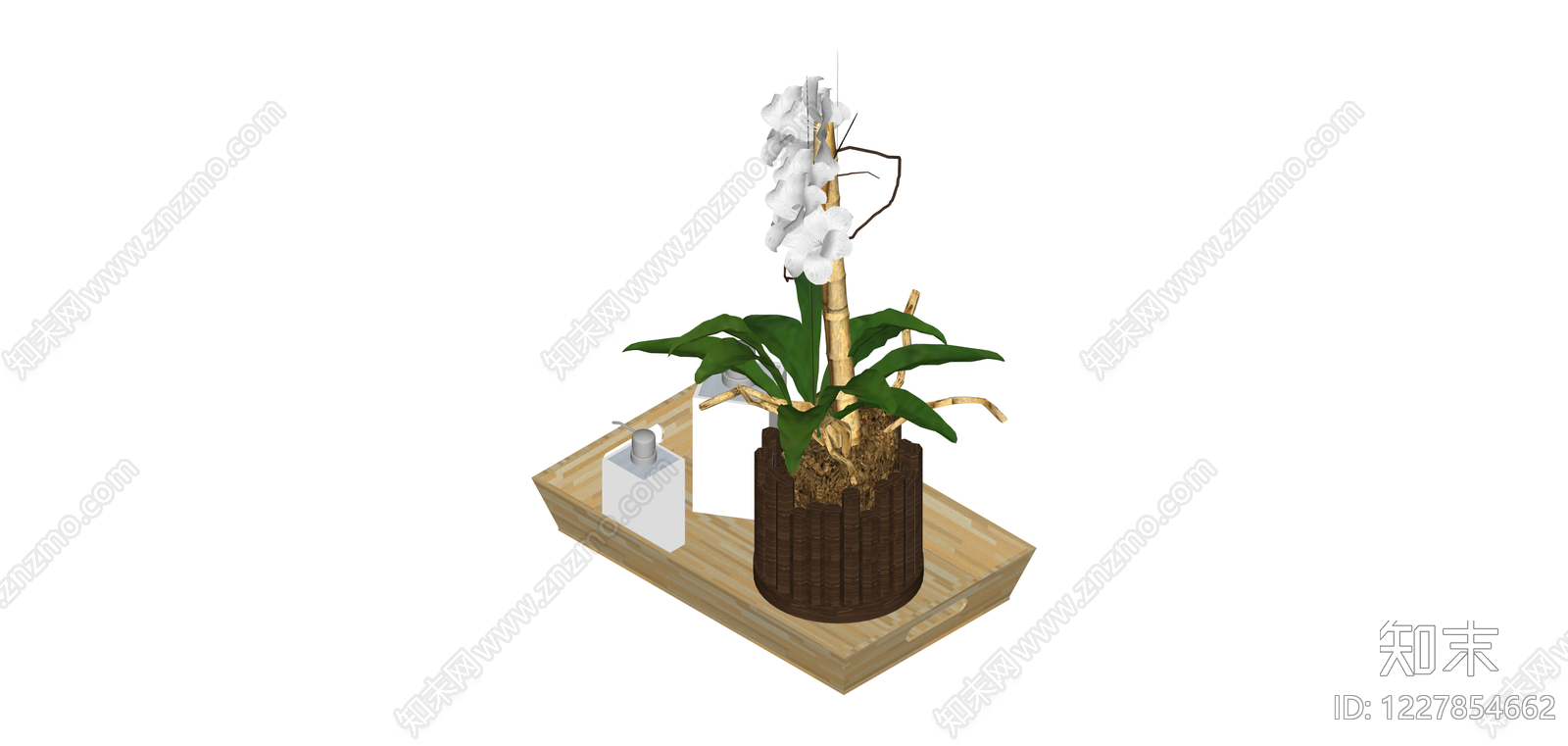 带托盘兰花盆栽组合SU模型下载【ID:1227854662】
