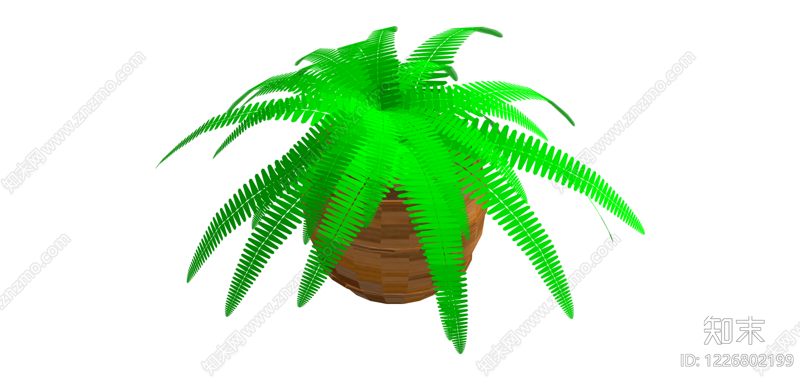 盆栽蕨类植物SU模型下载【ID:1226802199】