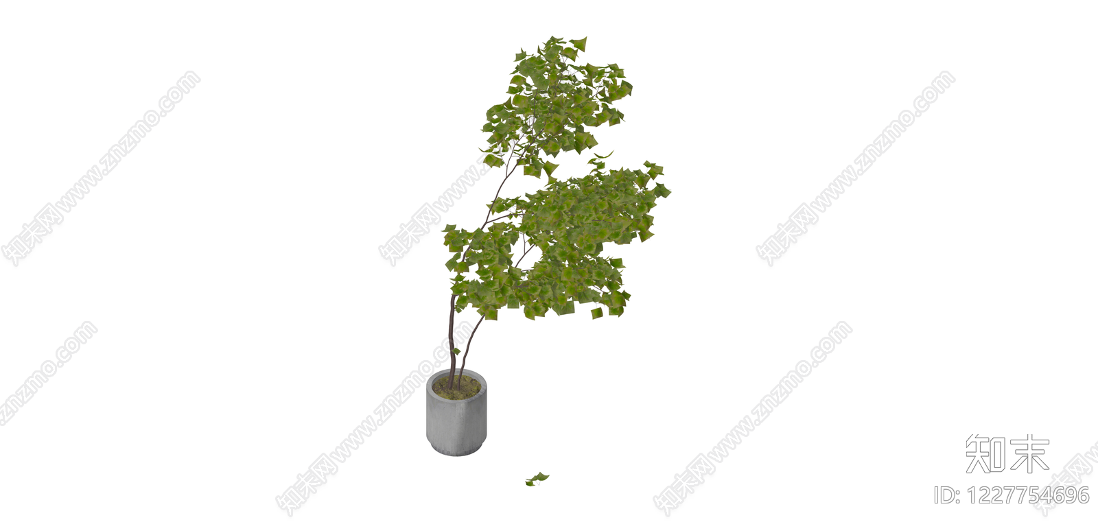 盆栽绿植SU模型下载【ID:1227754696】