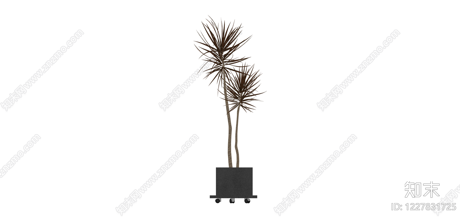 带盆双杆盆栽植物SU模型下载【ID:1227831725】