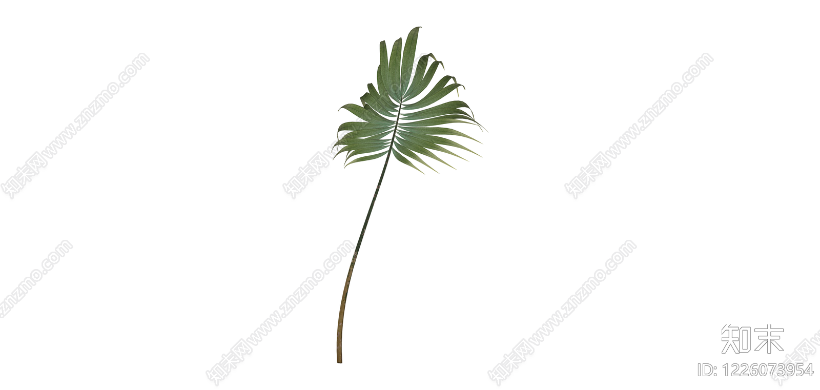 仿真棕榈叶植物SU模型下载【ID:1226073954】