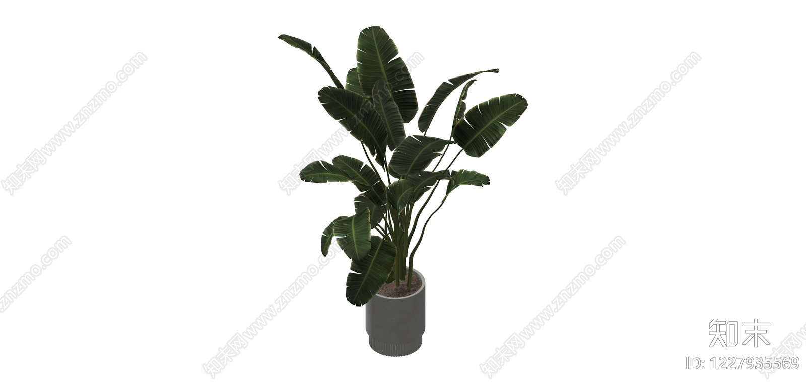 带盆绿植盆栽SU模型下载【ID:1227935569】